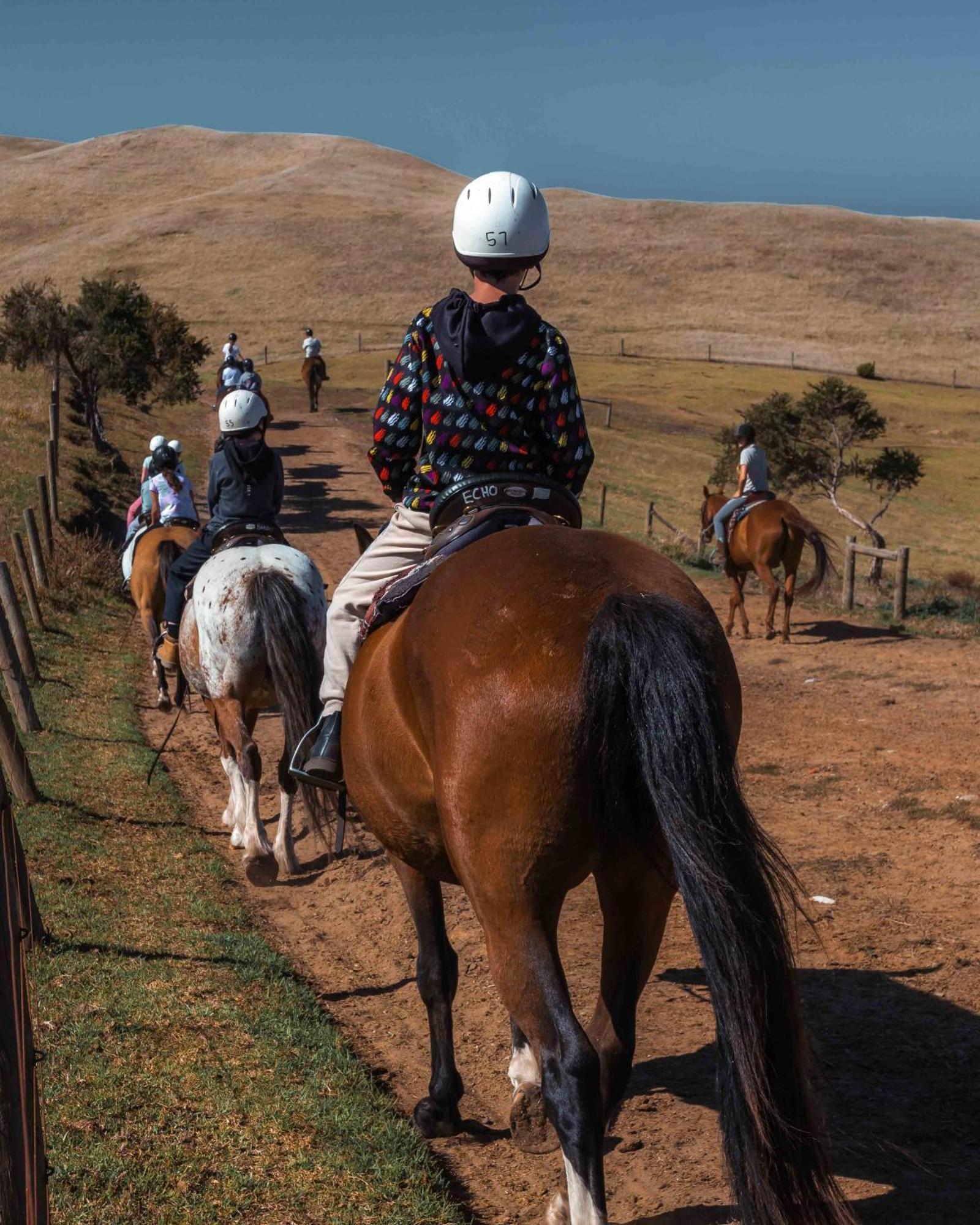 Вілла The Ranch Mornington Peninsula Boneo Екстер'єр фото